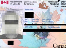 加拿大投(tou)資移民