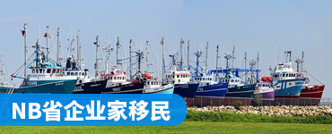 nb省企业